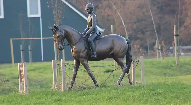Sommerhus i Rheezerveen