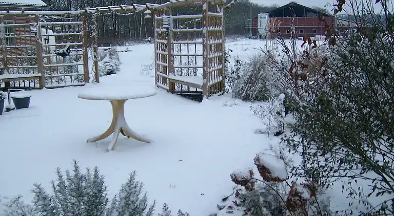 Sommerhus i Rheezerveen