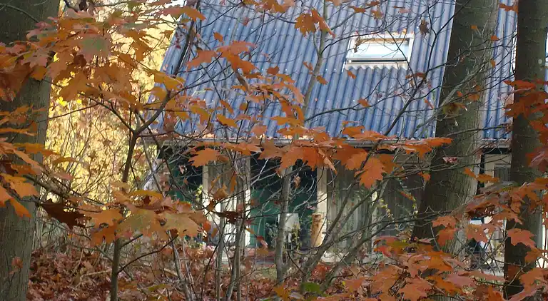 Semesterbostad i Rheezerveen