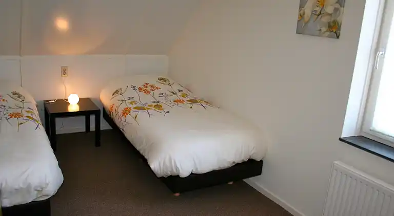 Semesterbostad i Rheezerveen