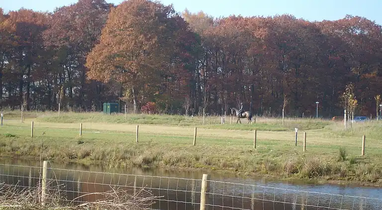 Semesterbostad i Rheezerveen