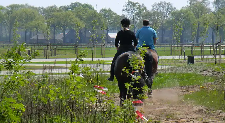 Semesterbostad i Rheezerveen