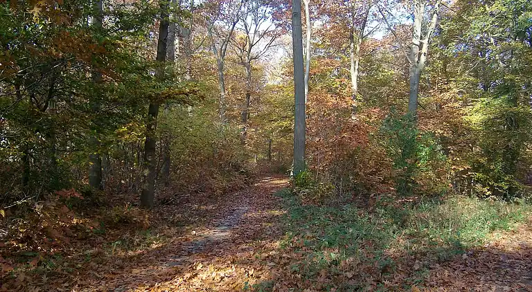 Semesterbostad i Rheezerveen