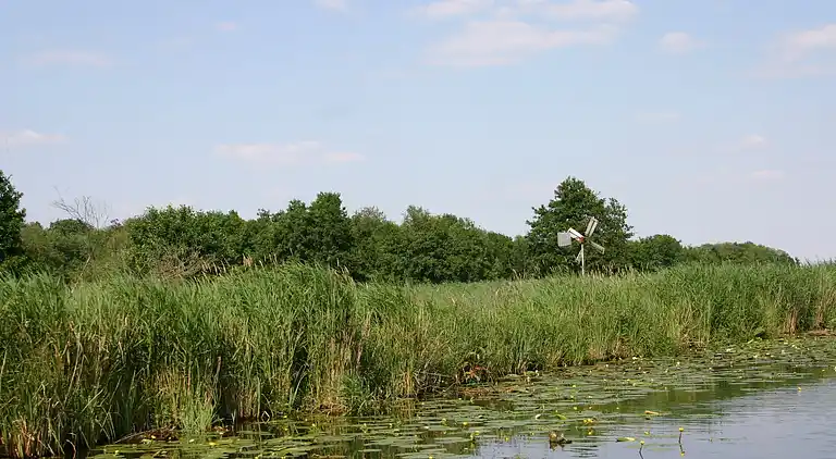 Villa i Wanneperveen