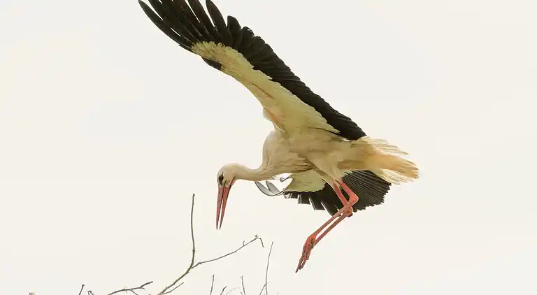 Manor house in De Schiphorst