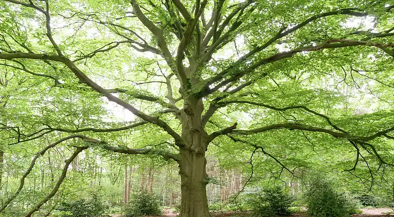 Manor house in De Schiphorst