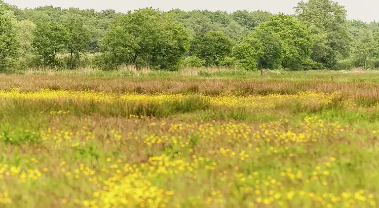 Manor house in De Schiphorst