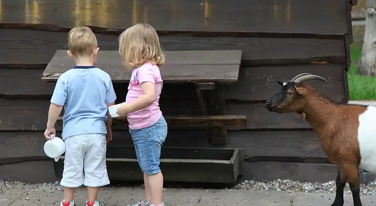 Boerderij in Appelscha