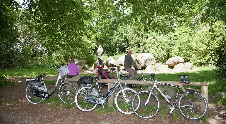 Boerderij in Appelscha