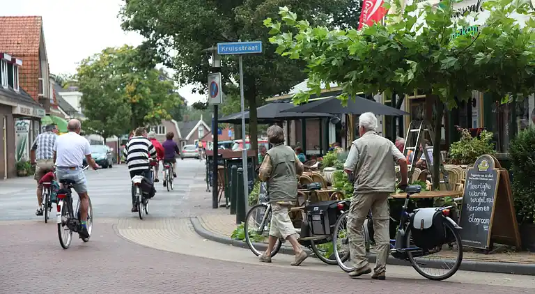 Boerderij in Appelscha