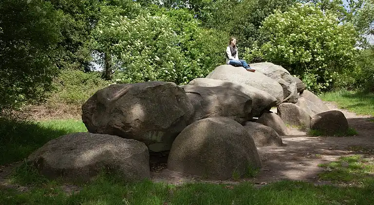 Boerderij in Appelscha