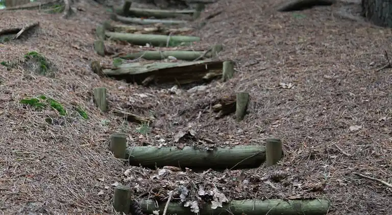 Gårdhus i Appelscha