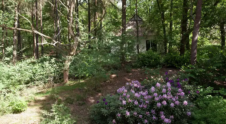 Farm house in Appelscha