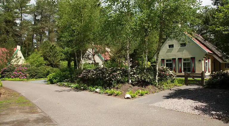 Farm house in Appelscha