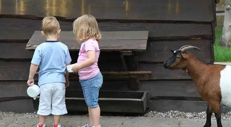 Bondgård i Appelscha