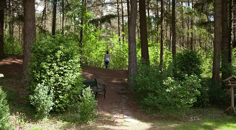 Bondgård i Appelscha