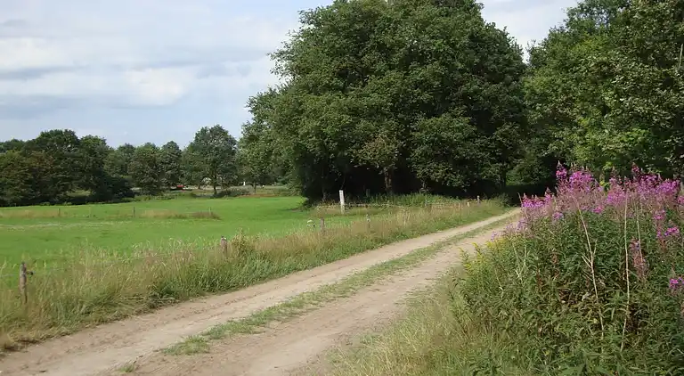 Farm house in Diever