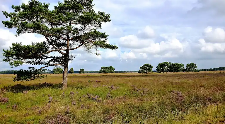 Farm house in Diever