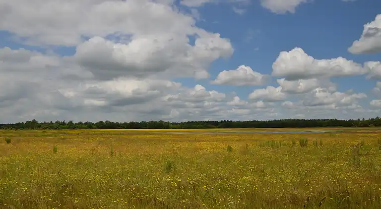 Farm house in Diever
