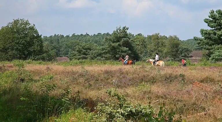 Holiday home in Nunspeet