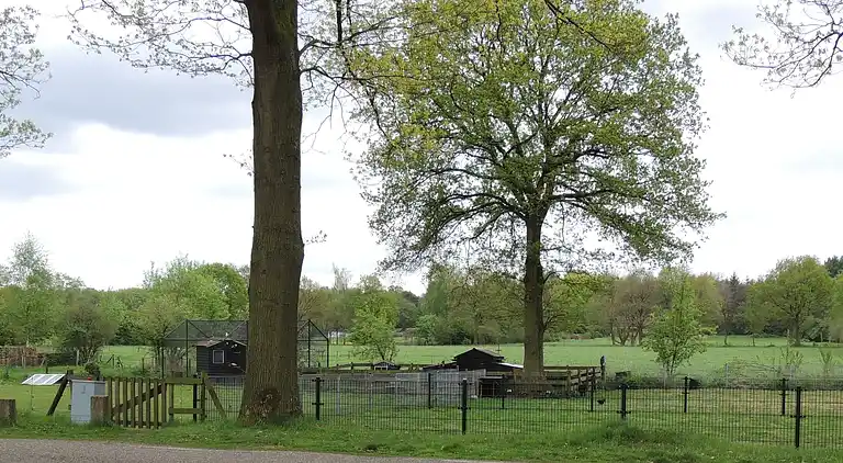 Cottage in Oldebroek