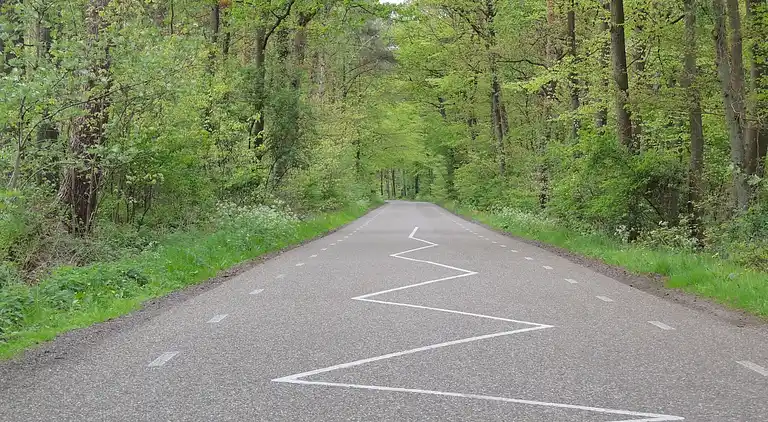 Cottage in Oldebroek