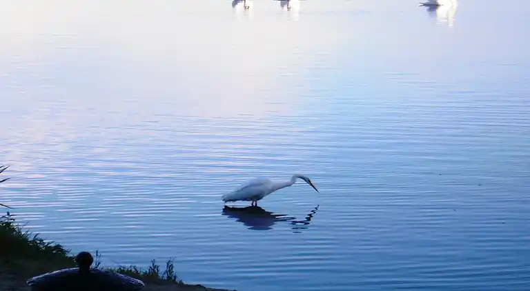 Cottage in Oldebroek