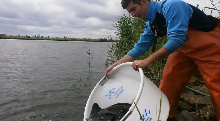 Cottage in Oldebroek