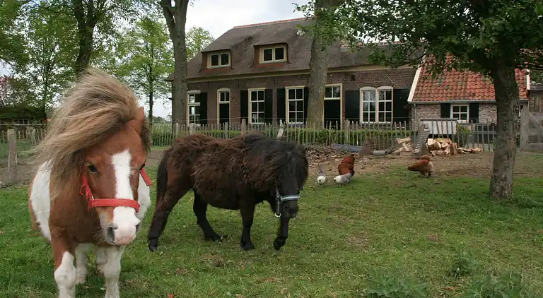 Boerderij in Luttenberg