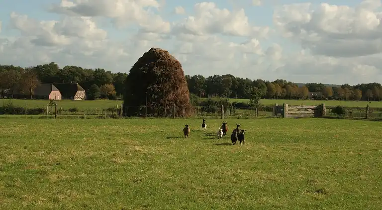 Boerderij in Luttenberg
