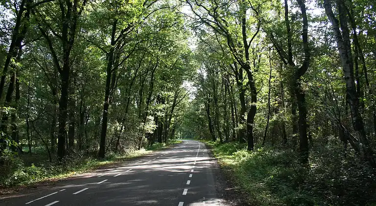 Boerderij in Luttenberg