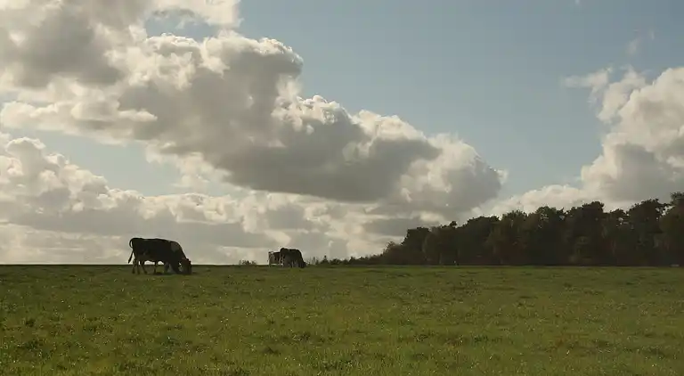 Boerderij in Luttenberg