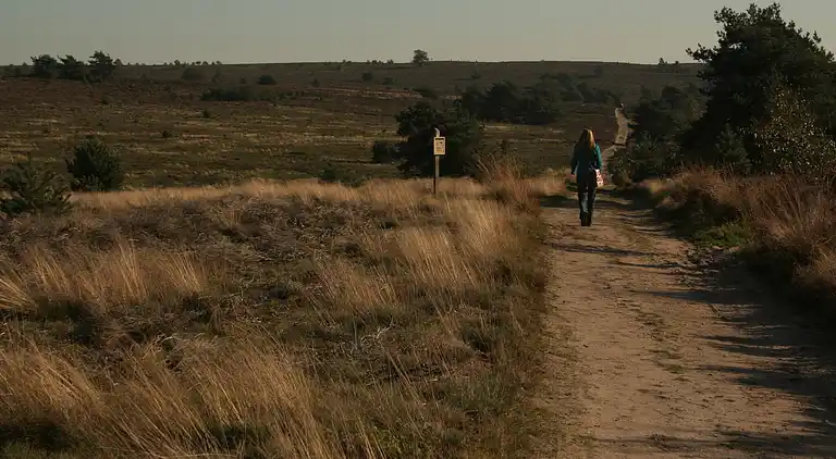Boerderij in Luttenberg
