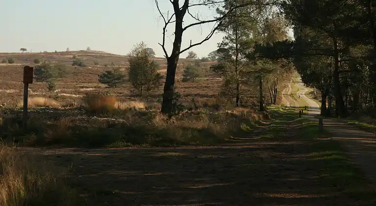 Boerderij in Luttenberg