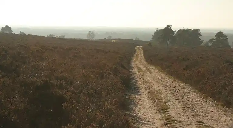 Boerderij in Luttenberg