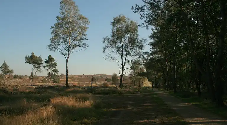 Boerderij in Luttenberg