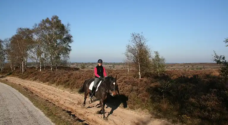 Boerderij in Luttenberg