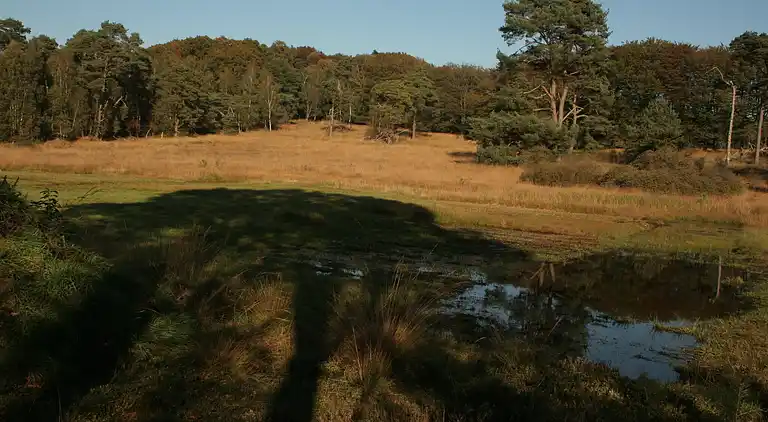 Boerderij in Luttenberg