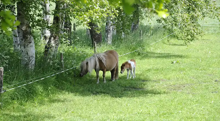 Holiday home in Heeten