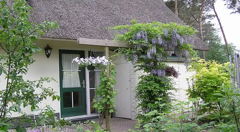 Semesterbostad i Heeten