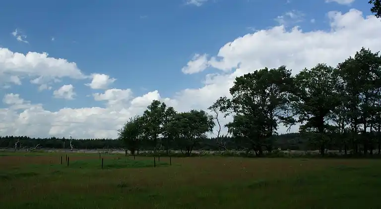 Vakantiehuis in Lemele