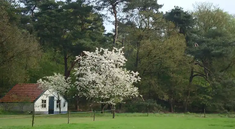 Vakantiehuis in Lemele