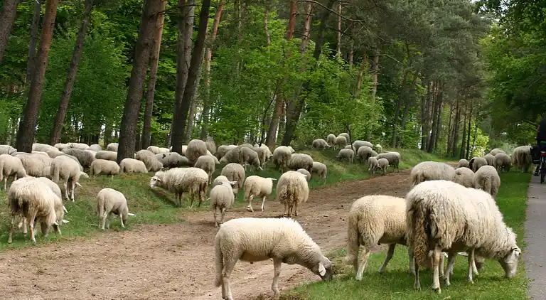 Vakantiehuis in Lemele