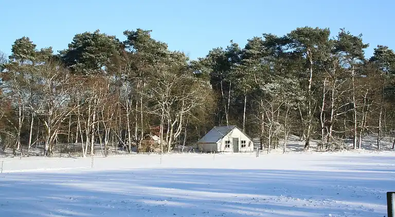 Vakantiehuis in Lemele