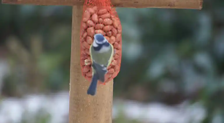Vakantiehuis in Lemele