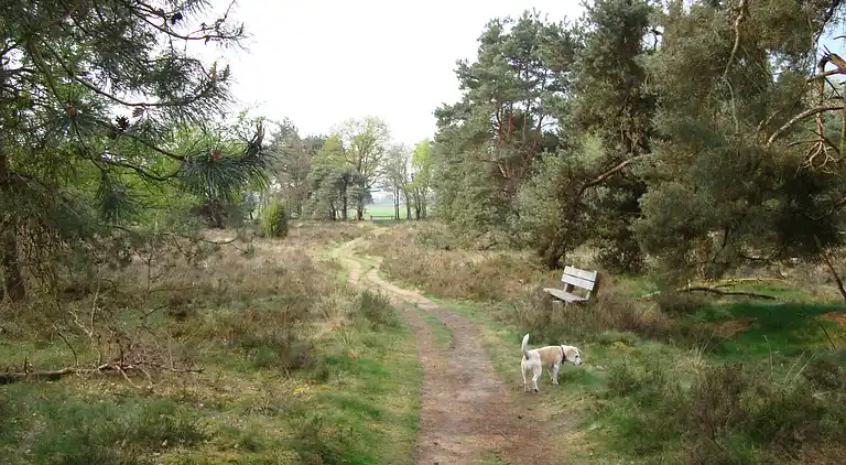 Holiday home in Lemele