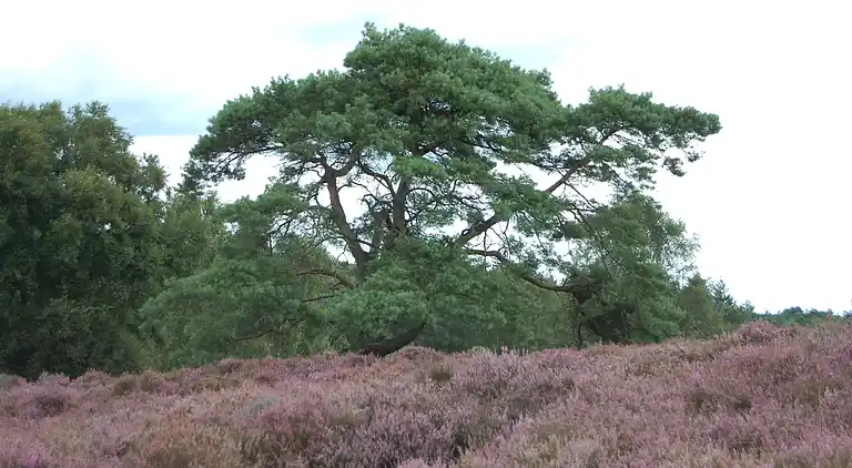 Holiday home in Lemele
