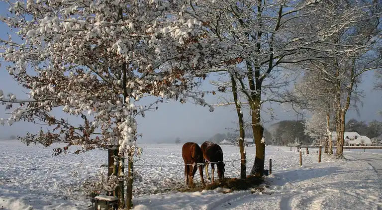 Holiday home in Lemele