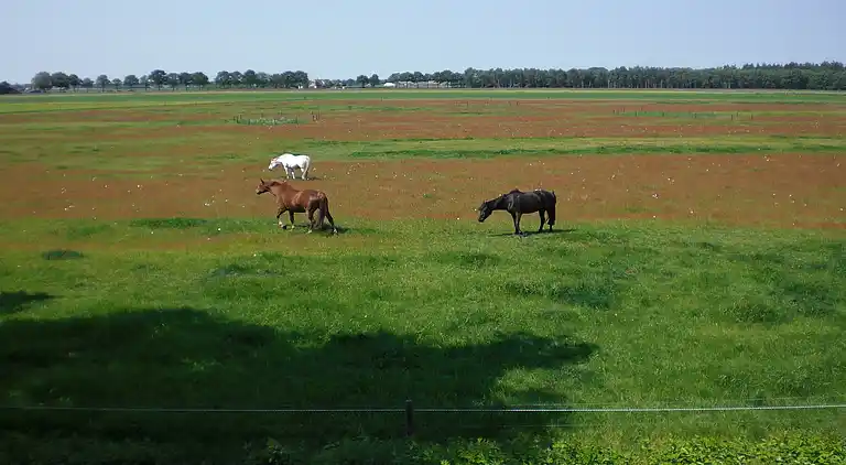 Holiday home in Lemele