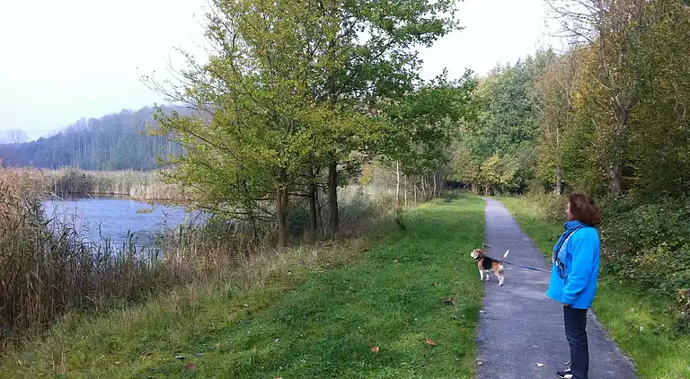 Villa i Biddinghuizen